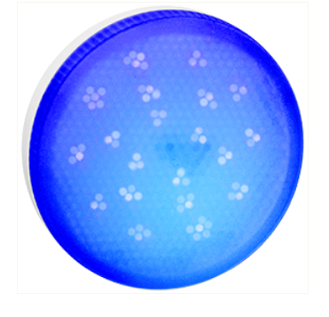 Ecola G53 LED color 8,0W Tablet 220V Blue Синий матовое стекло (композит) 28x74