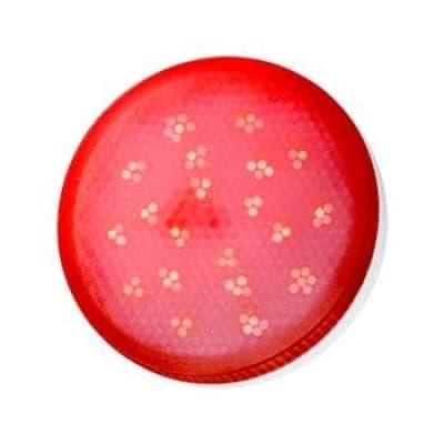Ecola G53 LED color 8,0W Tablet 220V Red Красный матовое стекло (композит) 28x74