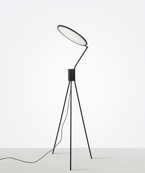 Светильник DZN1-33965