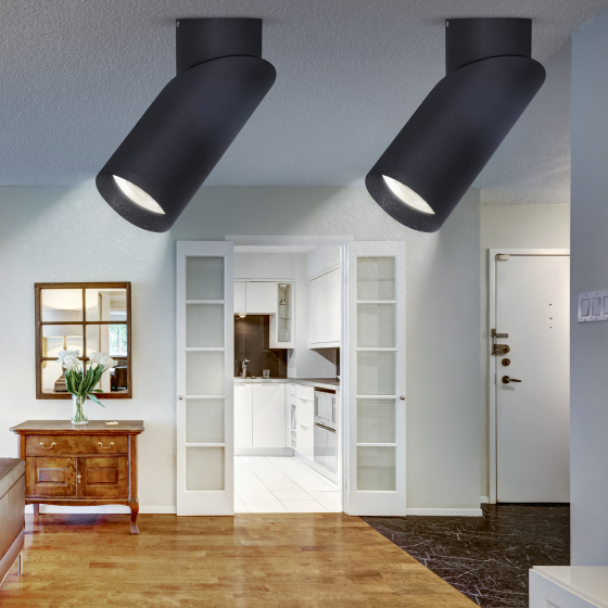 Светильник настенно-потолочный спот ЭРА OL18 BK MR16/GU10, черный