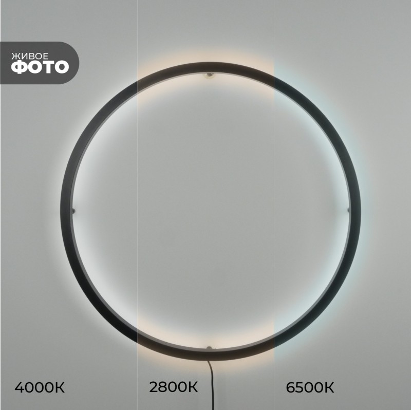 Светильник ElegantLight DZN-11113 ЧЕРНЫЙ ` D800/H60/1/LED/20W/2800-6500K без ПДУ GUARD-LU23-12